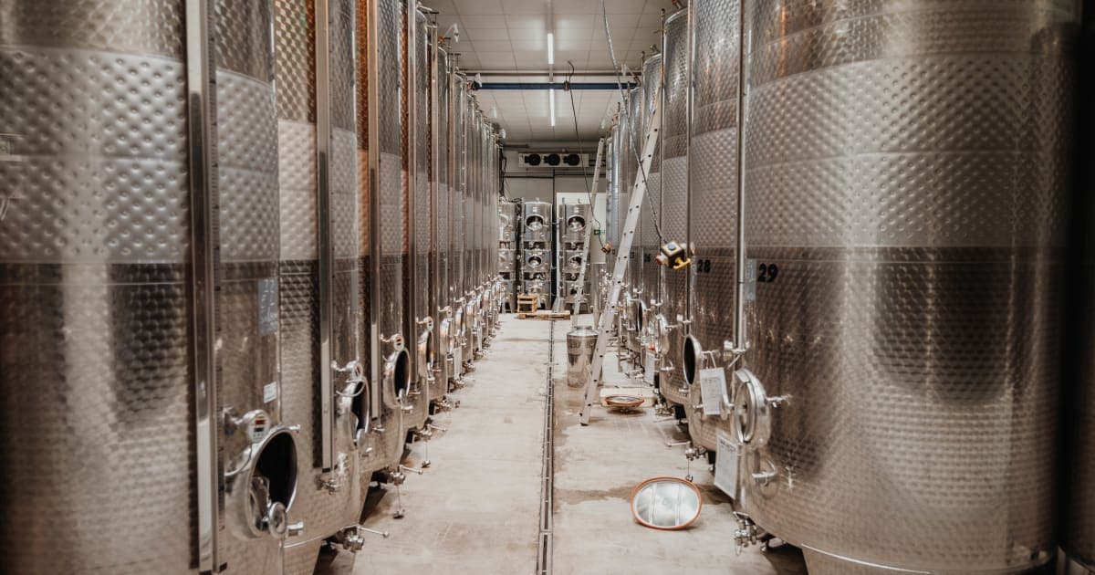 Weinproben rund um Volkach: Vom Weingut bis zur Planwagenfahrt