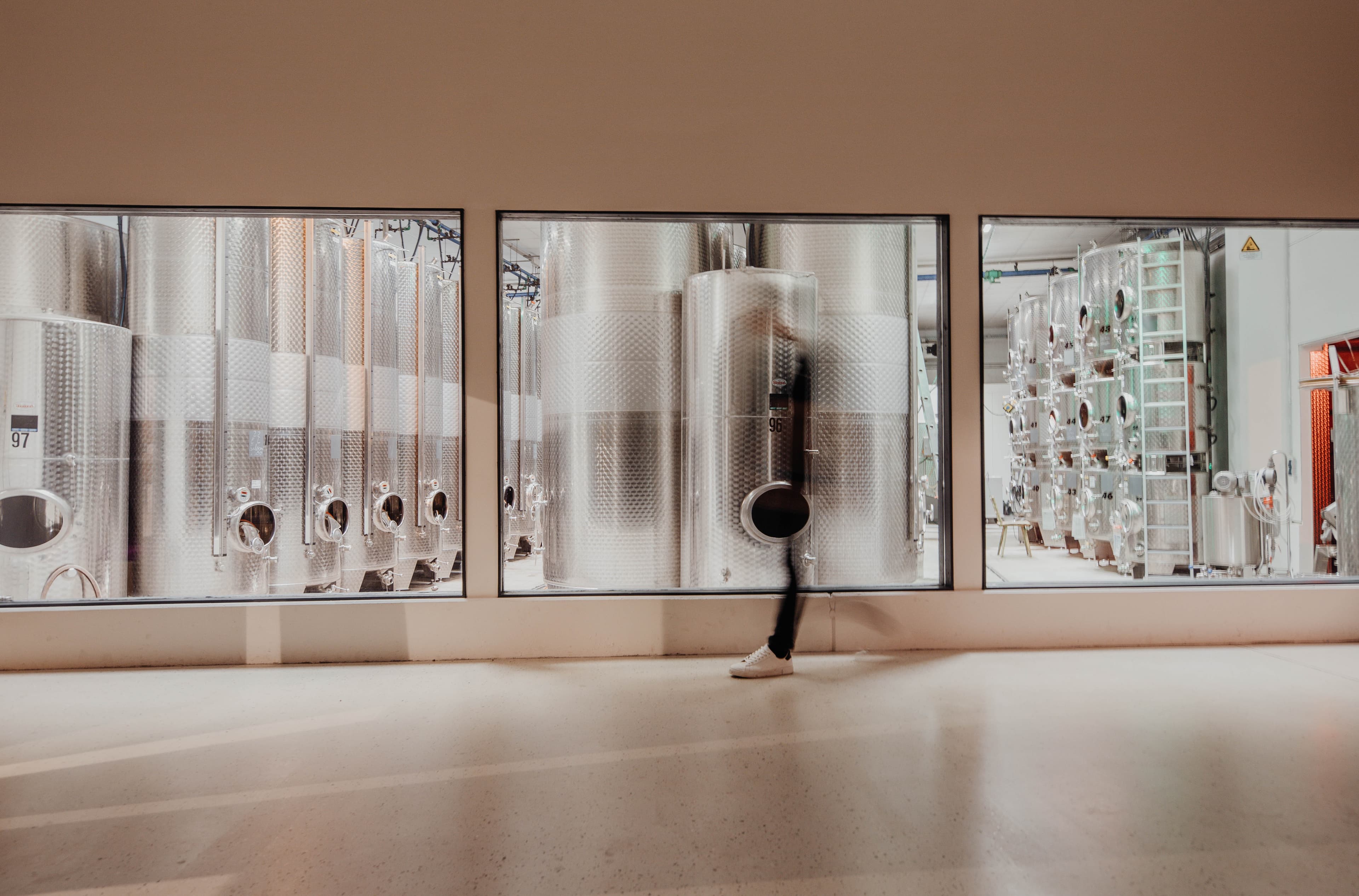 Degustazione al Weingut Römmert