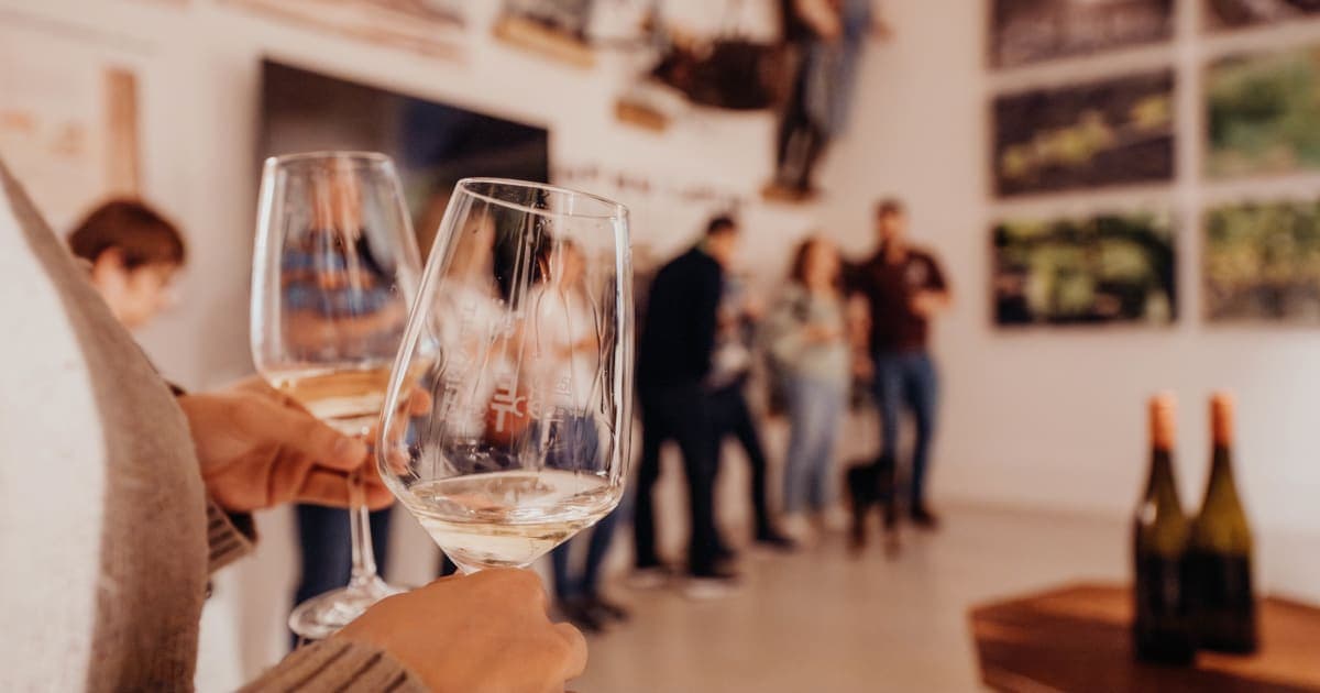Silvaner from Franconia: Why the region's flagship grape is so special